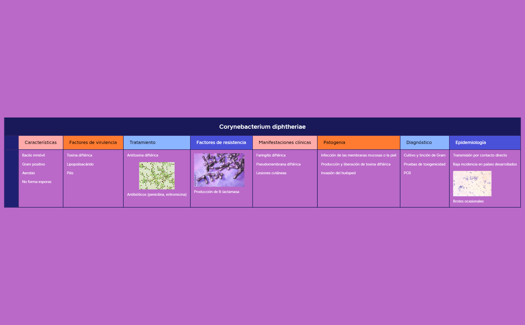 Thumbnail of mind map