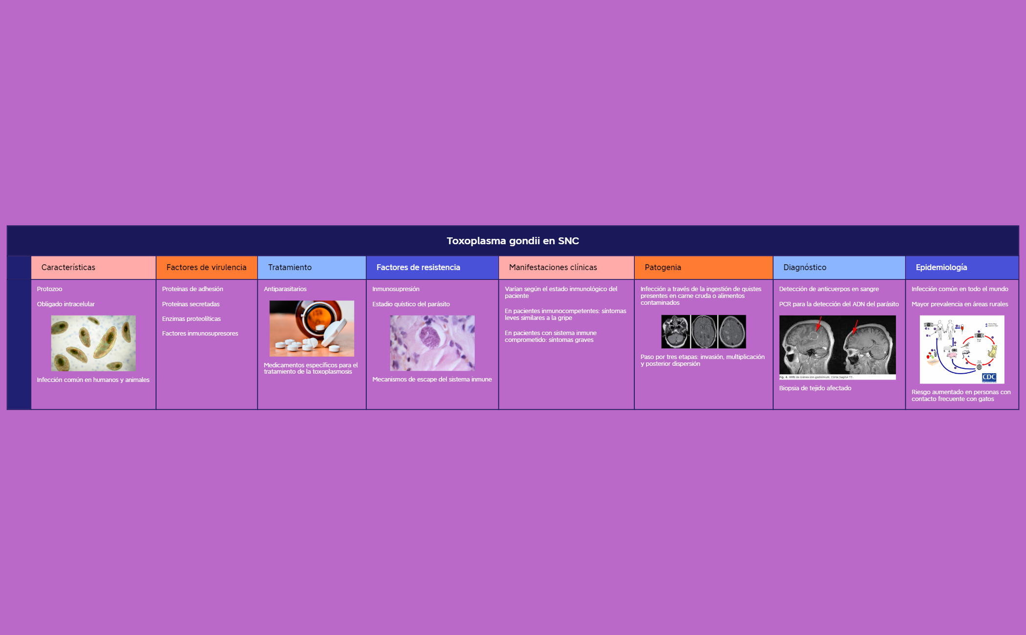 Thumbnail of mind map