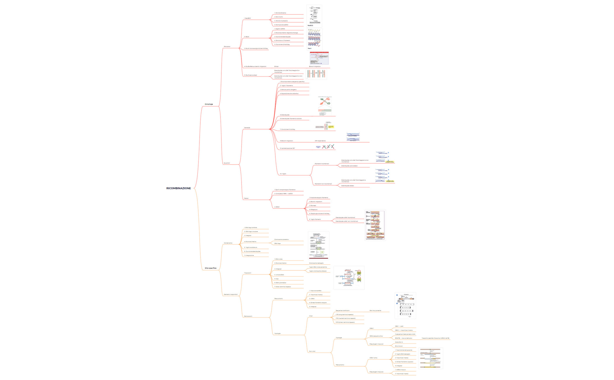 Thumbnail of mind map