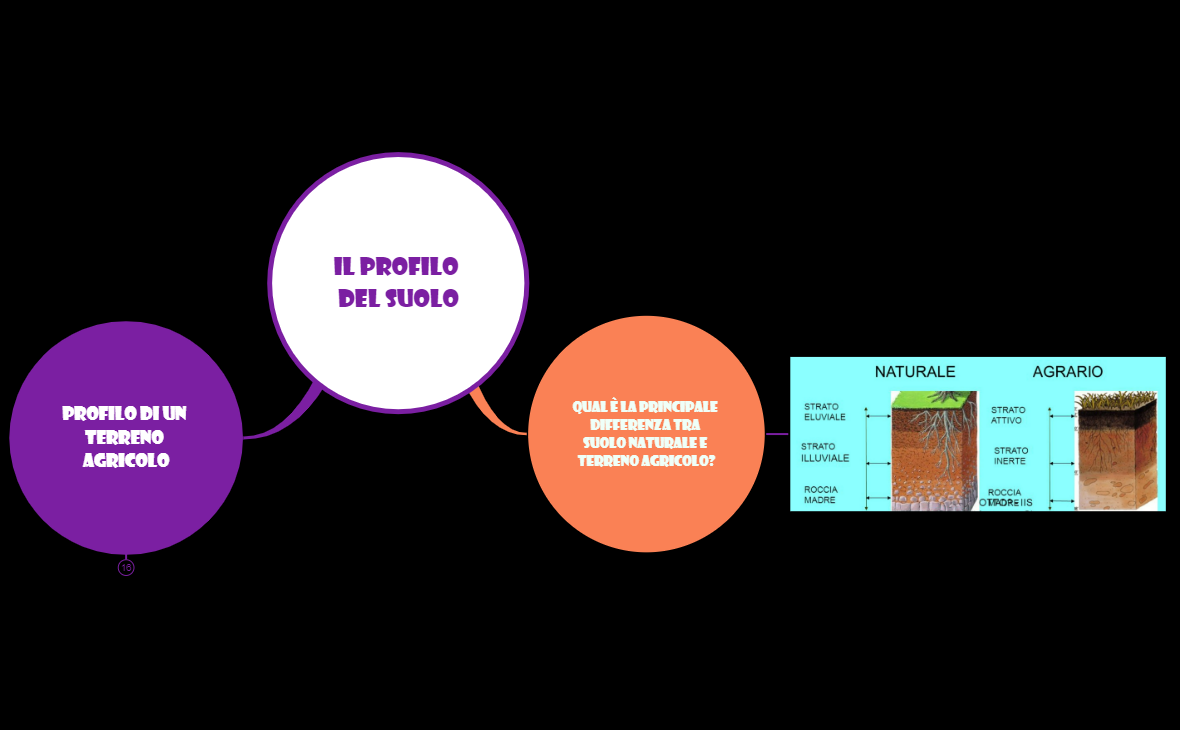 2_TERRENO AGRARIO_Il PROFILO