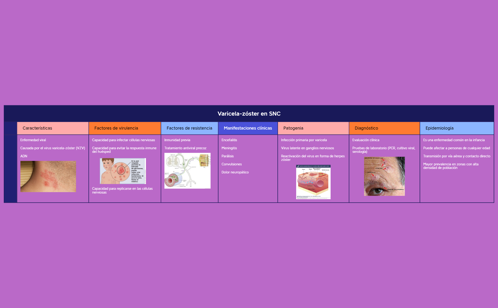 Thumbnail of mind map