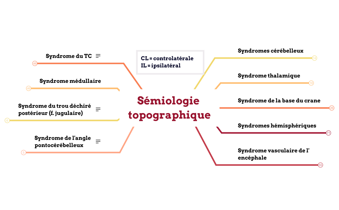 Sémiologie topographique