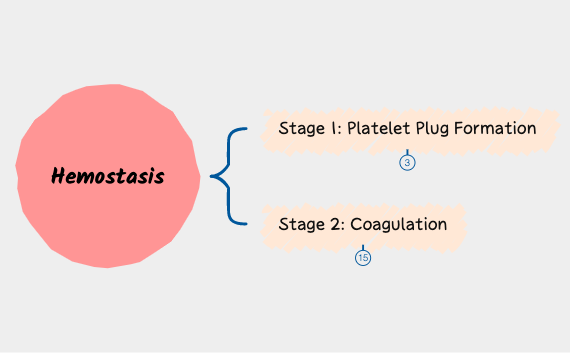 Thumbnail of mind map