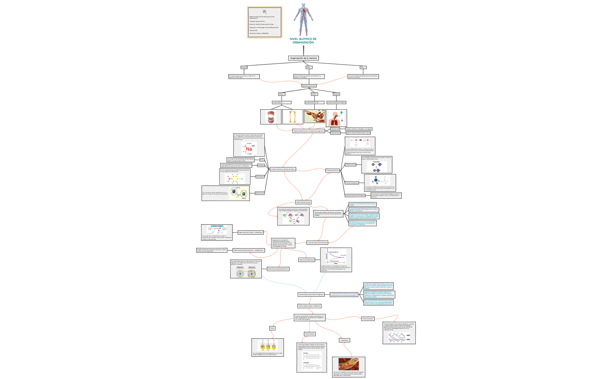 NIVEL QUÍMICO DE ORGANIZACIÓN 