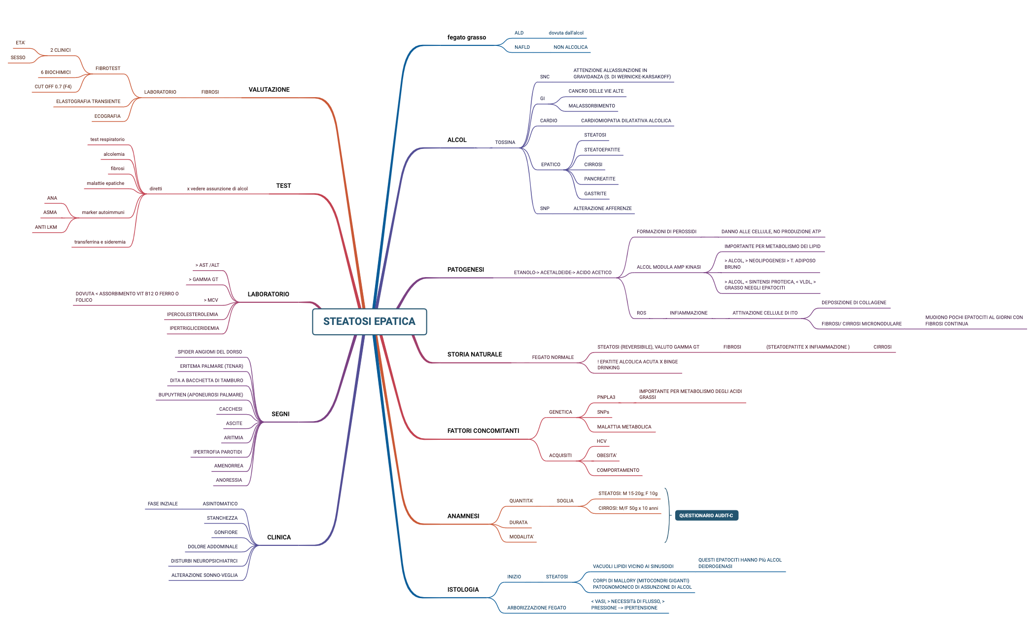 STEATOSI EPATICA.xmind