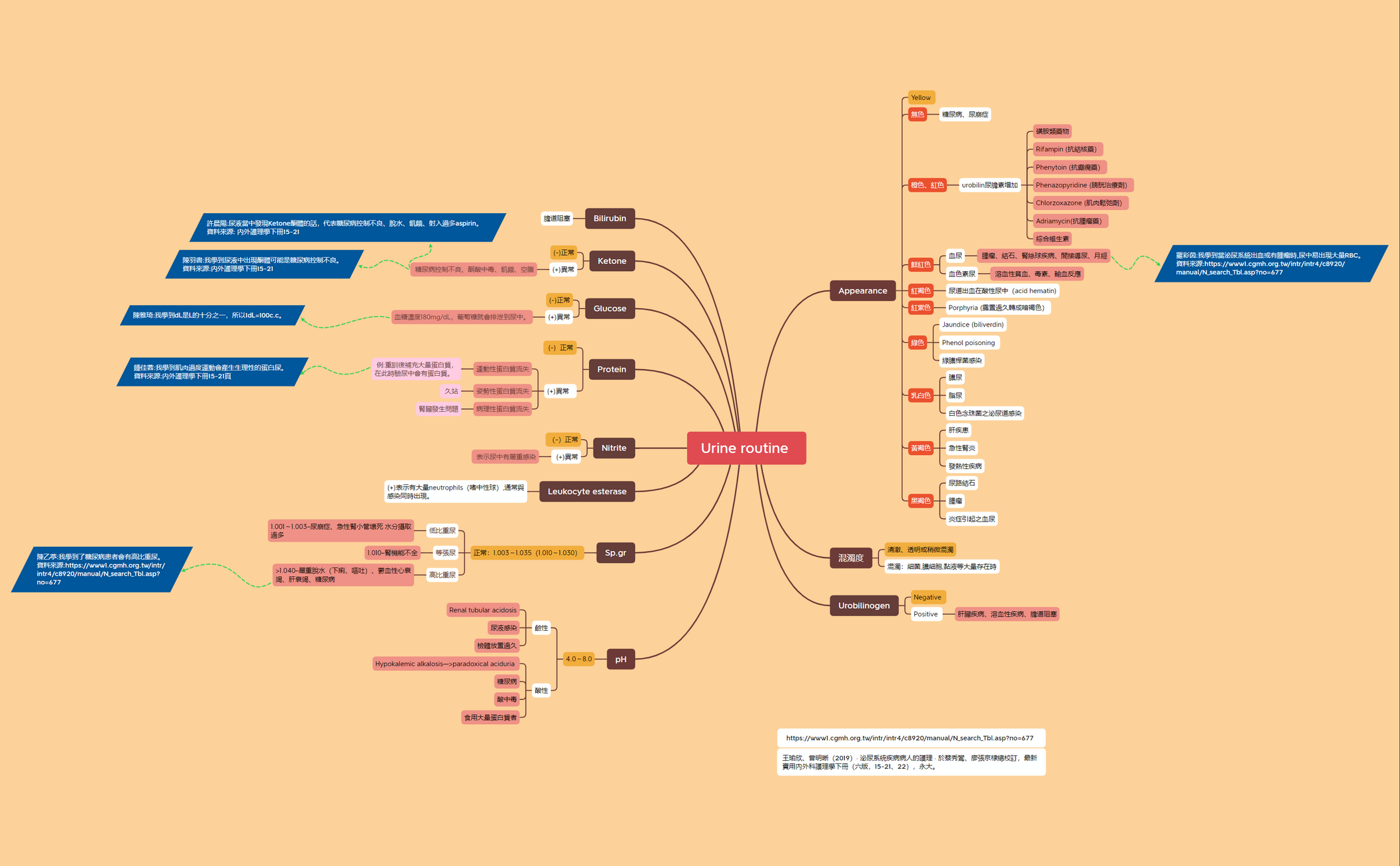 高長8B葉育彣Urine routine概念圖0601