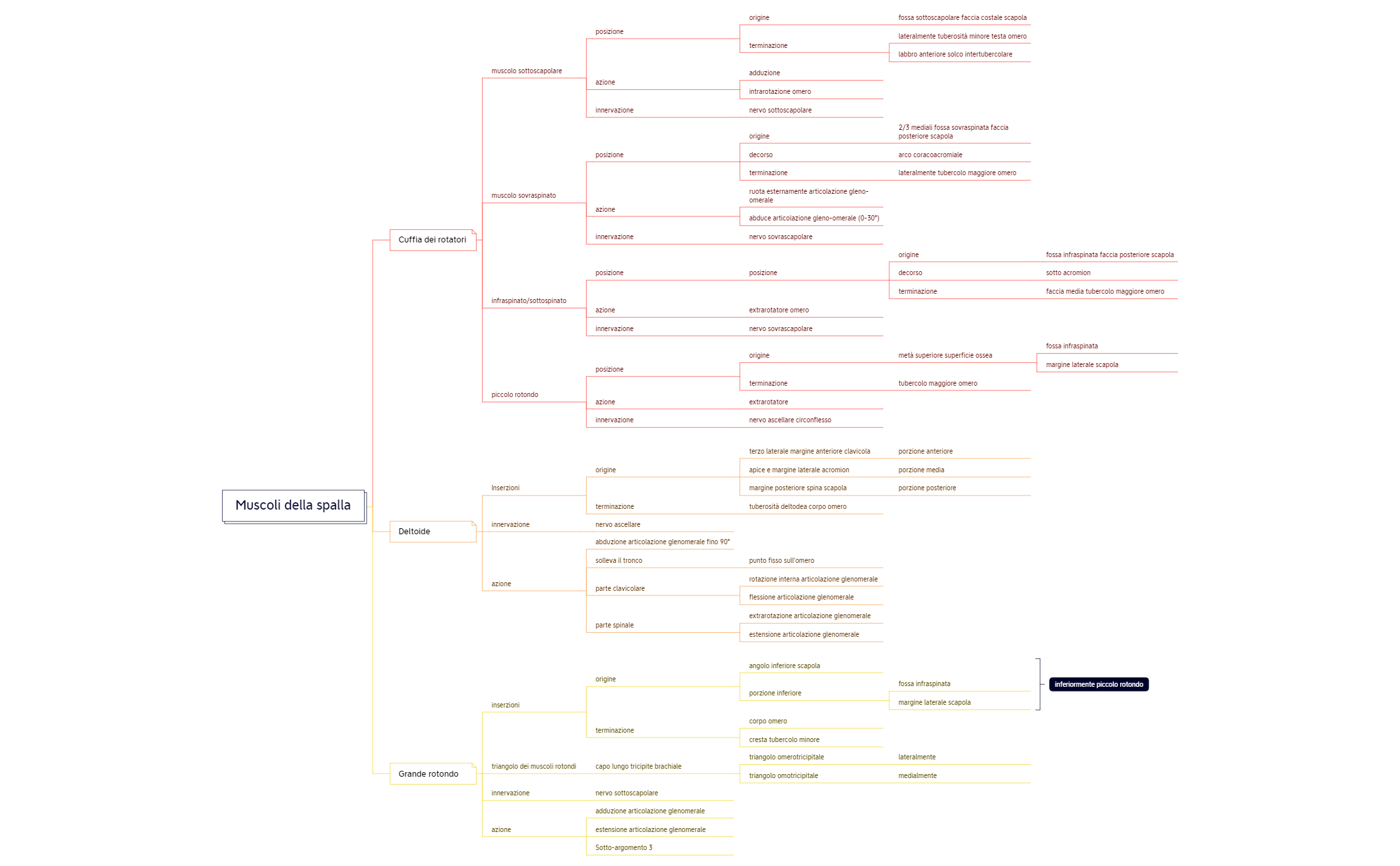 Thumbnail of mind map