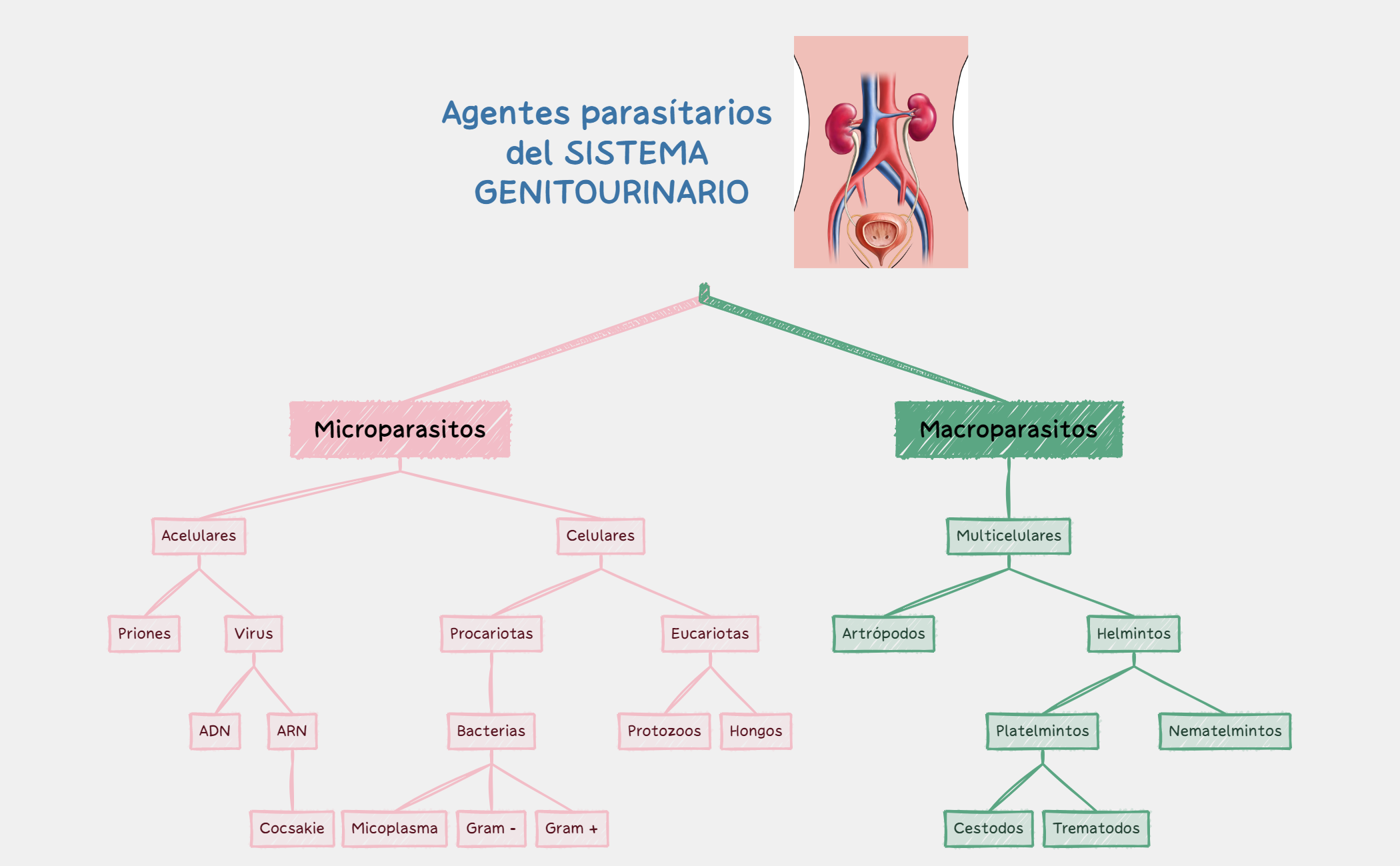 Thumbnail of mind map