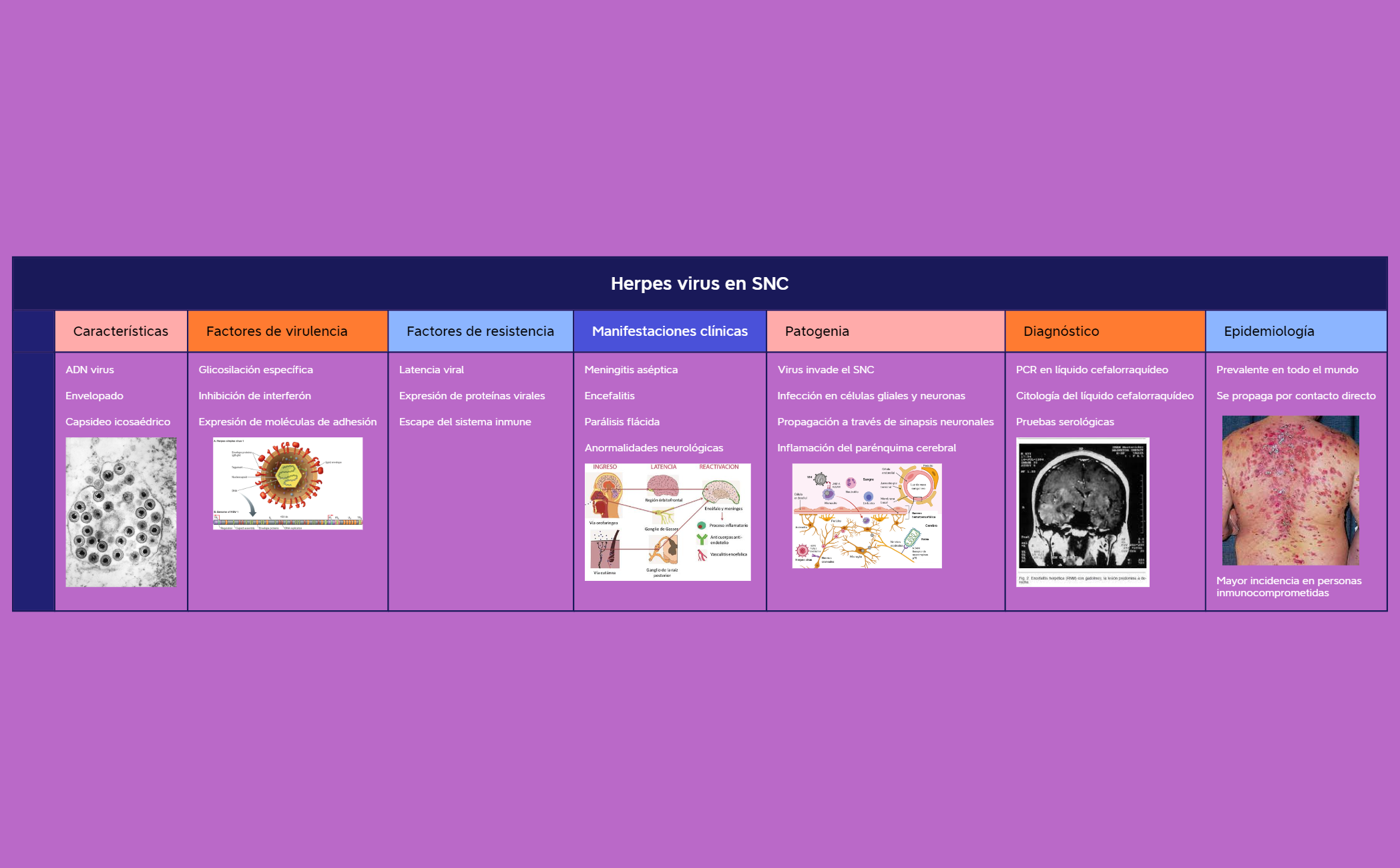 Thumbnail of mind map