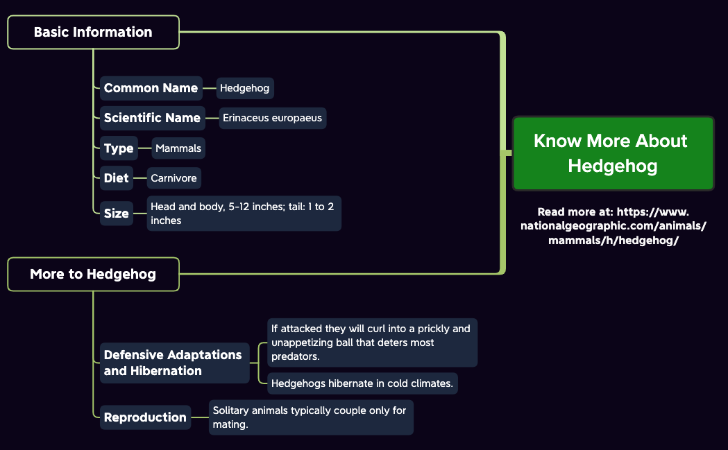 Thumbnail of mind map
