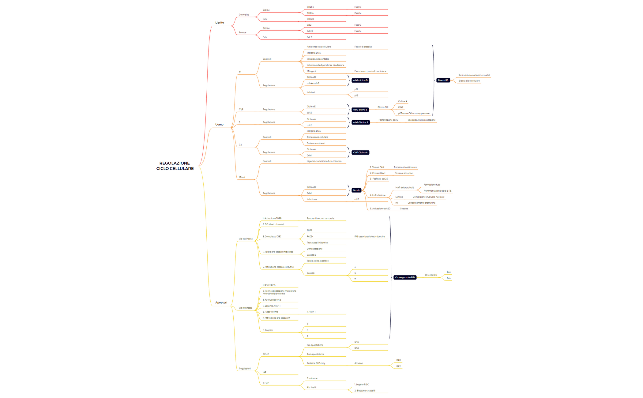 Thumbnail of mind map