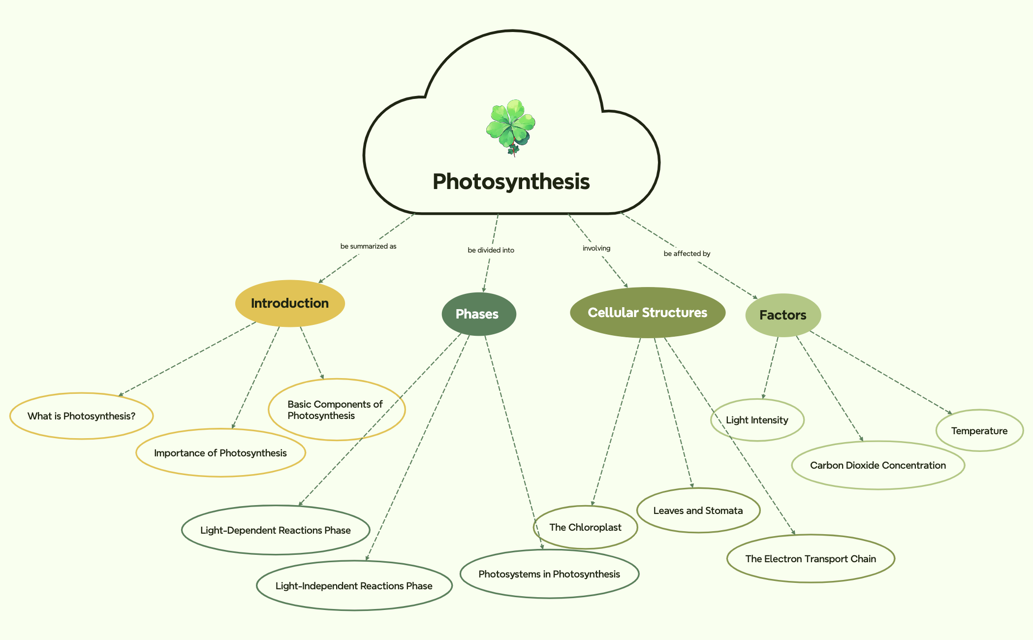 Thumbnail of mind map