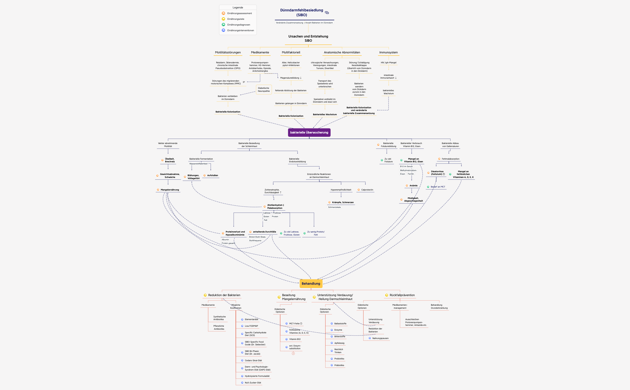🟠 Dünndarmfehlbesiedlung