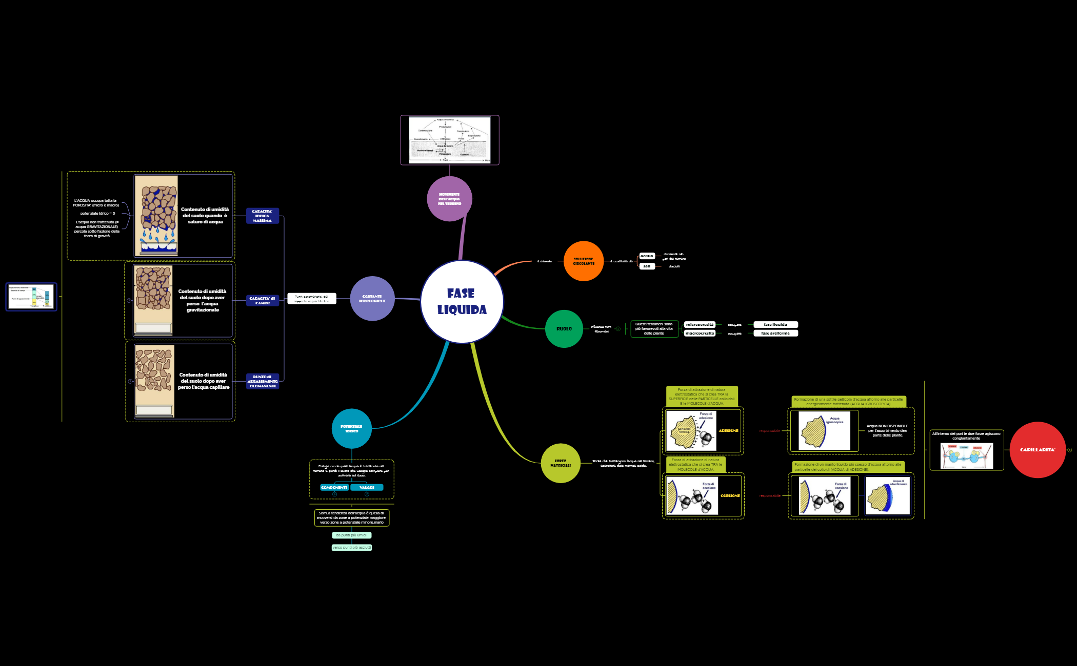 5_TERRENO AGRARIO_fase LIQUIDA