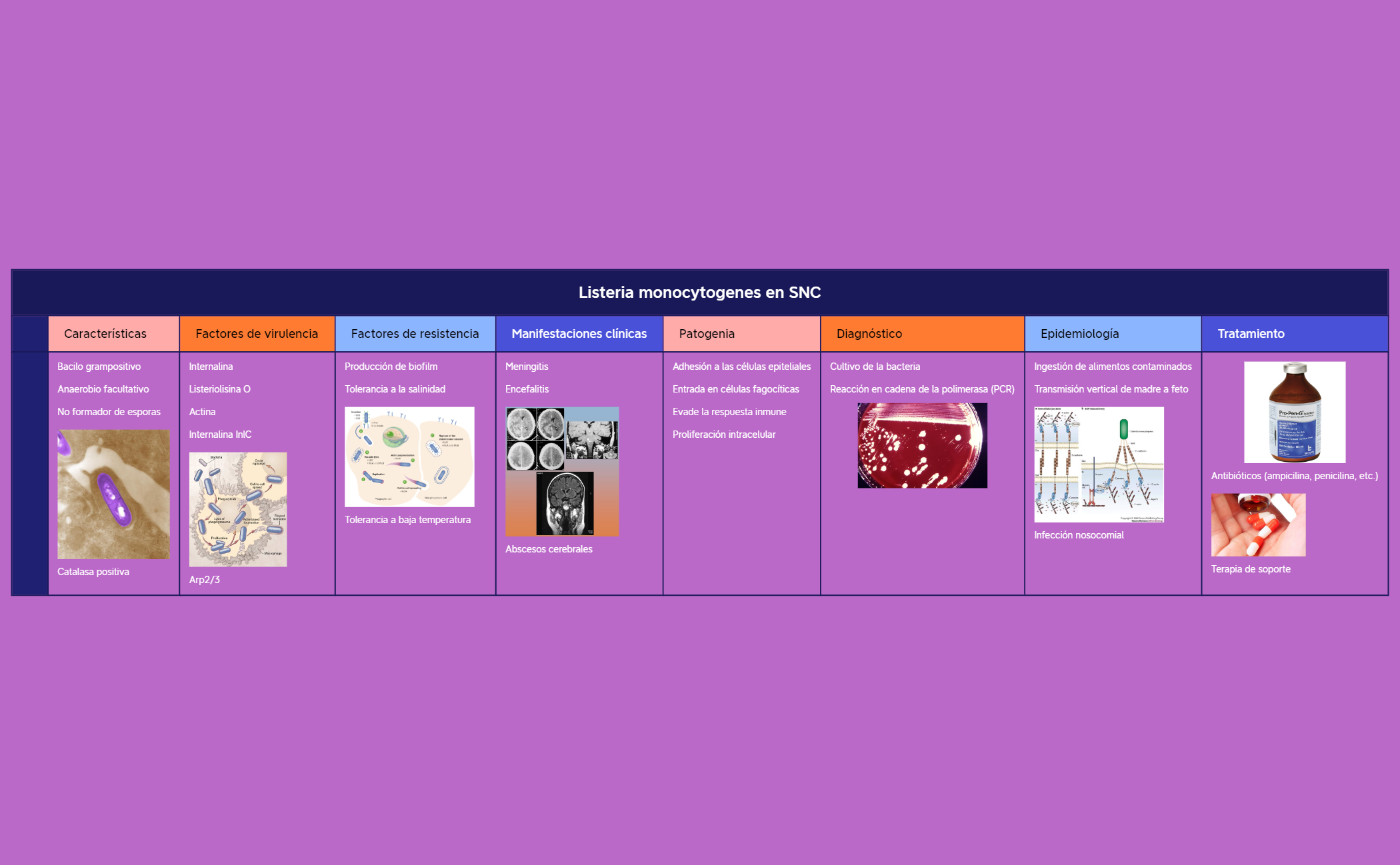 Thumbnail of mind map