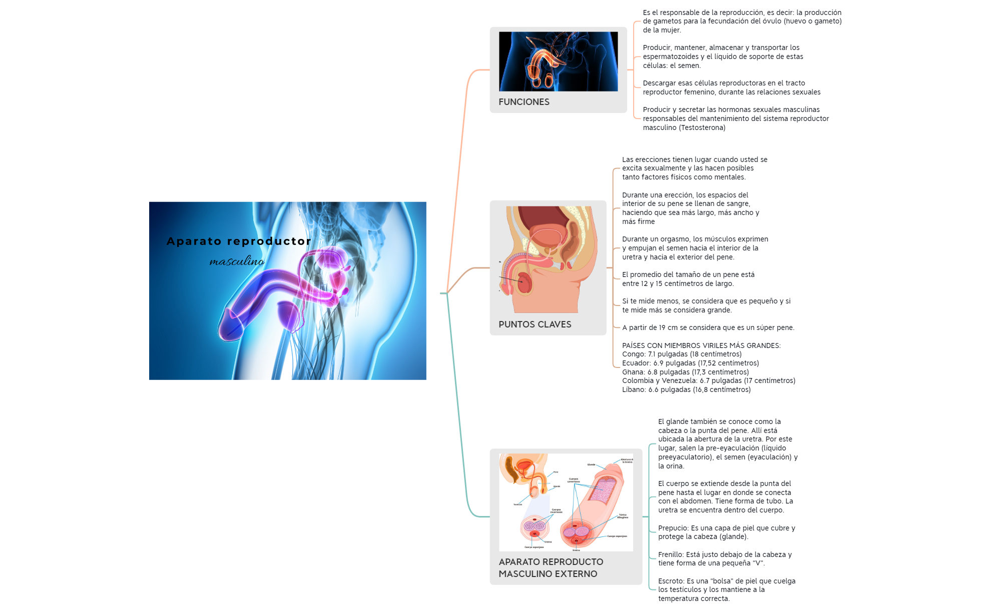 Thumbnail of mind map
