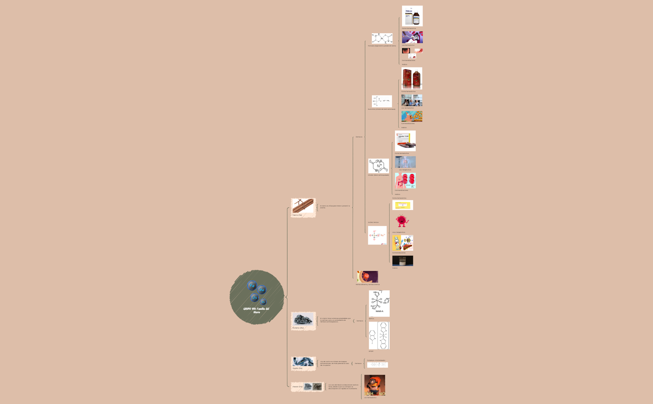 GRUPO VIII  Familia del Hierro.xmind