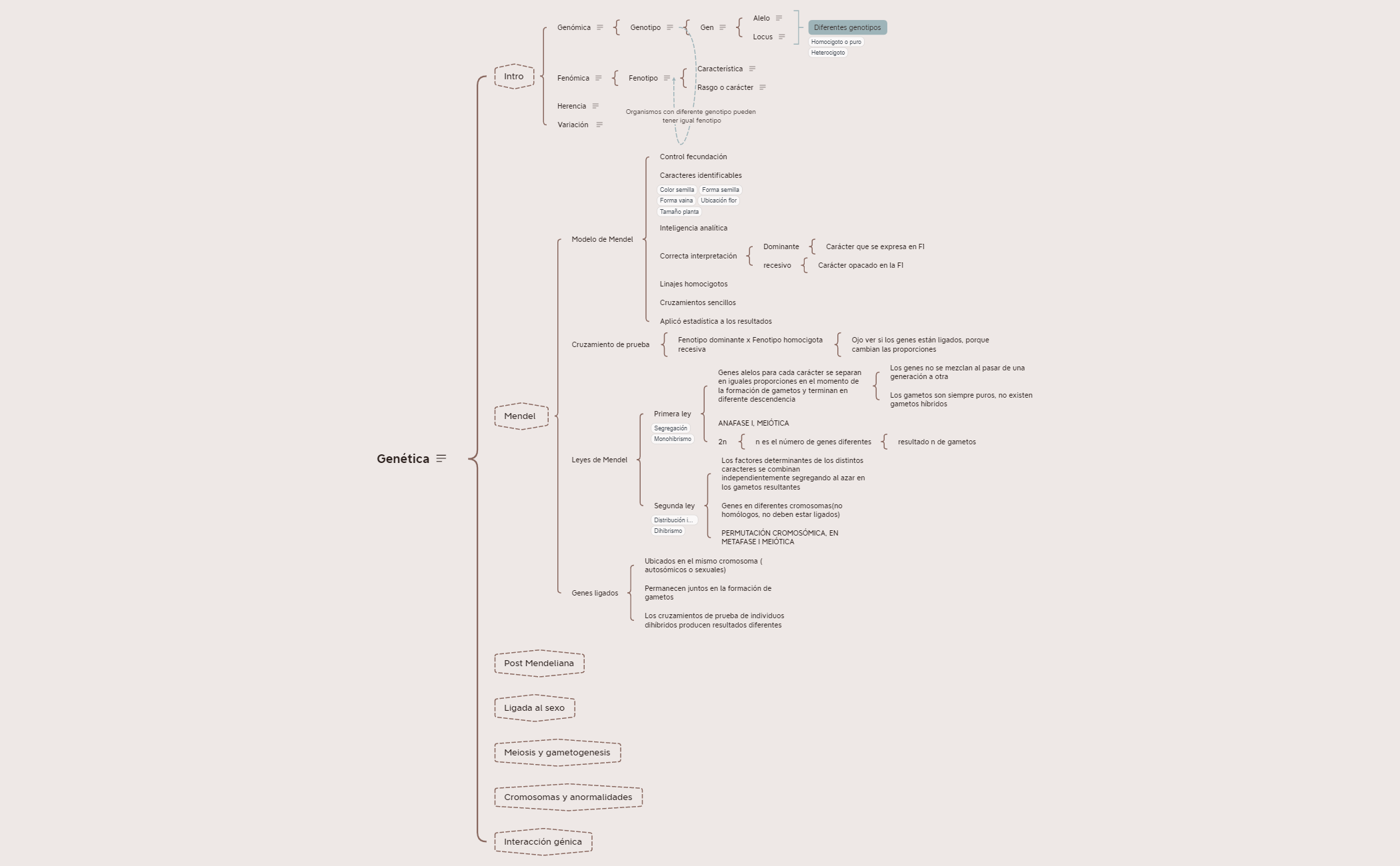 Resumen Genética.xmind