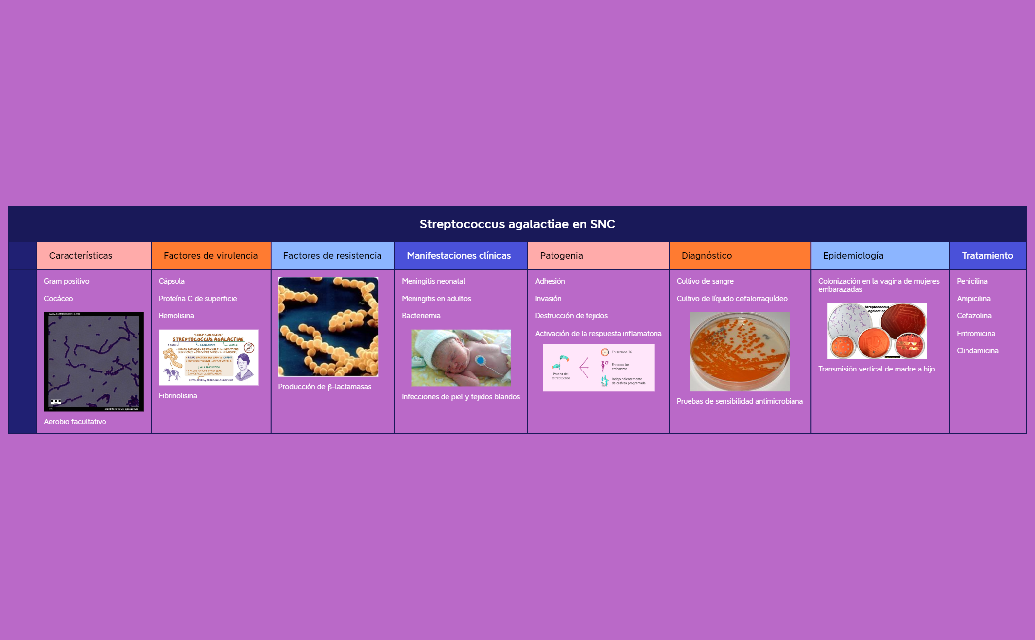 Thumbnail of mind map