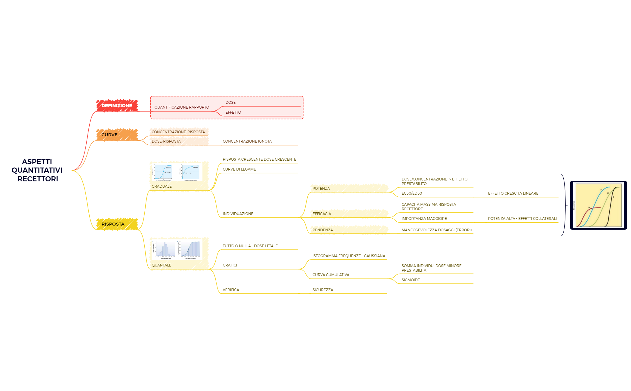 Thumbnail of mind map