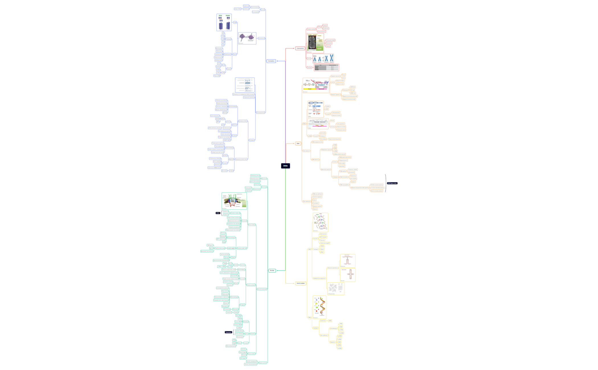 Thumbnail of mind map