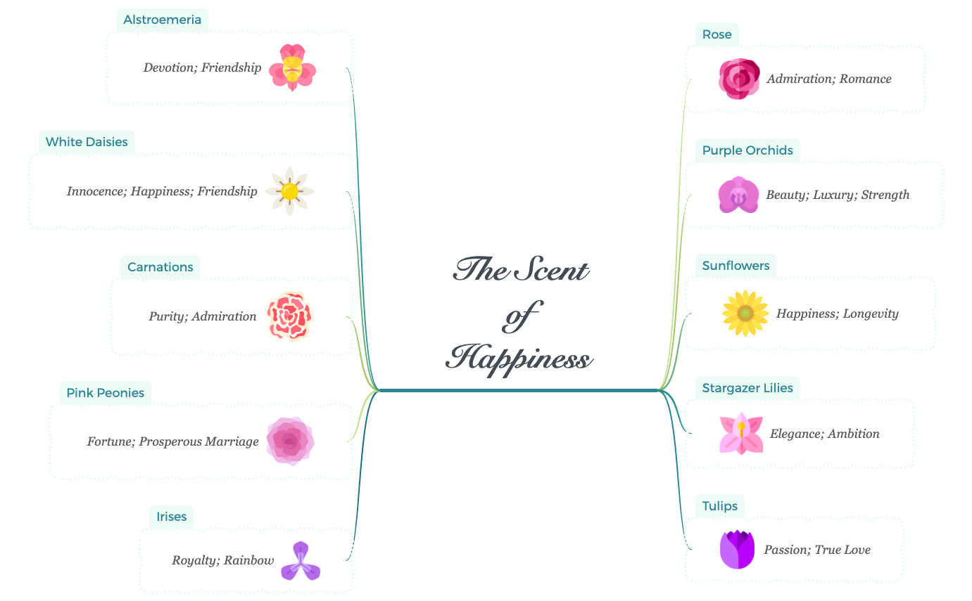 Thumbnail of mind map