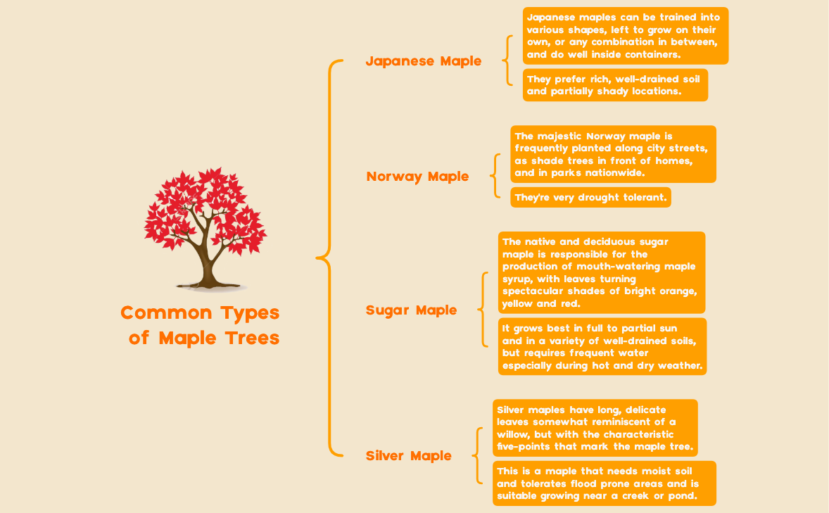 Thumbnail of mind map