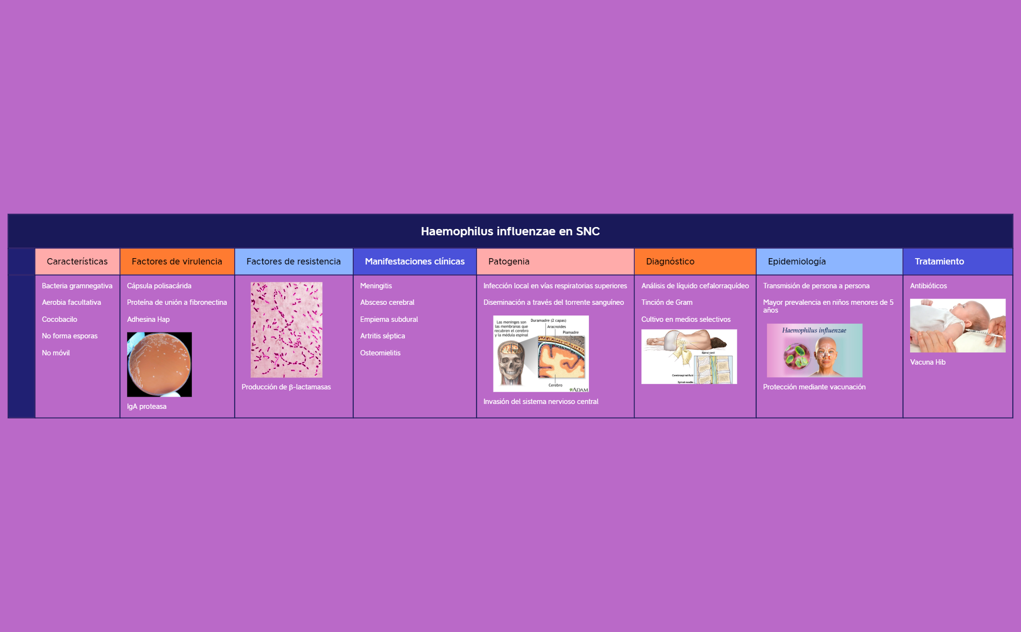 Thumbnail of mind map