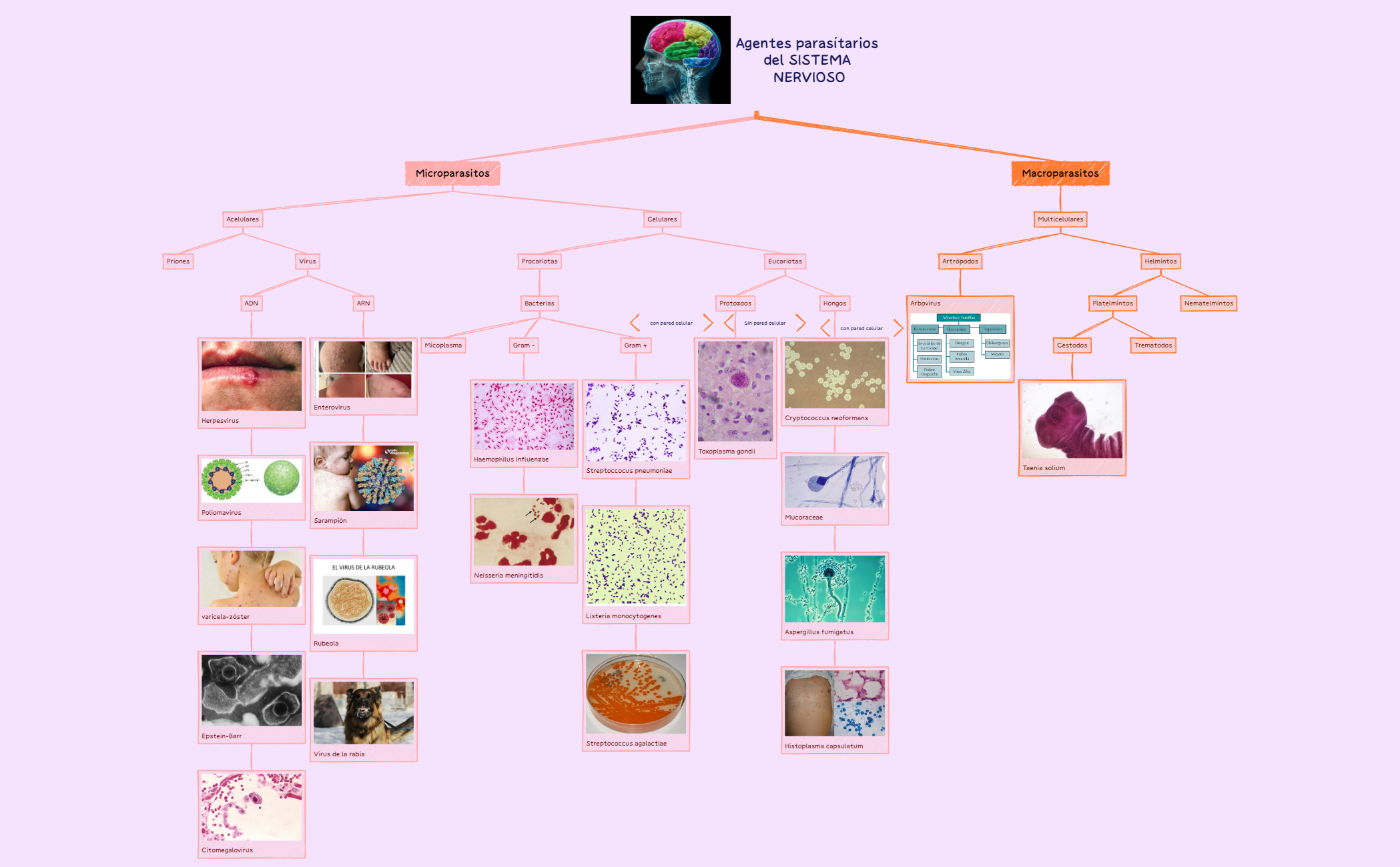 Thumbnail of mind map